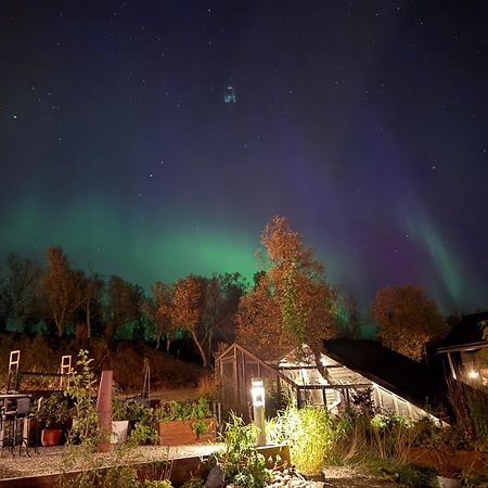 Hakoya Lodge Tromso Exterior photo